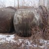 Корпус (стакан) сульфуратора объём 6,3 м.куб