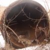 Корпус (стакан) сульфуратора объём 6,3 м.куб