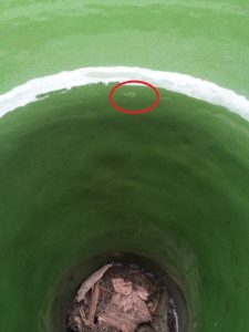 Apparat Chugunnyj Jemalirovannyj S Peremeshivajushhim Ustrojstvom Objomom 125 Mkub 5