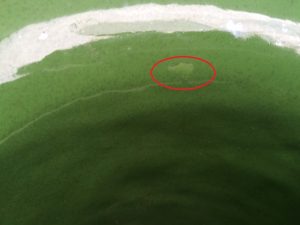 Apparat Chugunnyj Jemalirovannyj S Peremeshivajushhim Ustrojstvom Objomom 125 Mkub 6