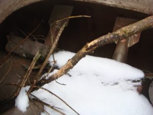 Barabannaja Rotorno Vakuumnaja Sushilka Rv 12 4vk 2