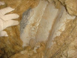 Barabannaja Rotorno Vakuumnaja Sushilka Rv 12 4vt 3