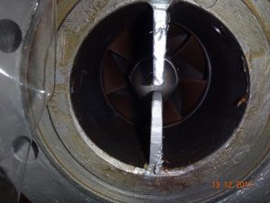 Cirkuljacionnyj Nasos Termalnogo Masla S Magnitnym Privodom Tip Nmwhu 65 250 5