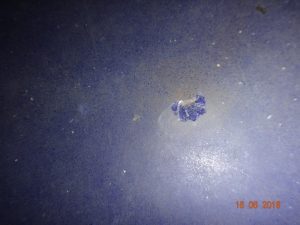 Himicheskij Reaktor Jemalirovannyj Objom 250 Litrov 8