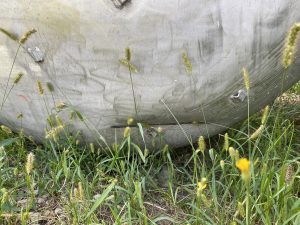 Himicheskij Reaktor S Vnutrennim Zmeevikom Objom 77 Mkub 4