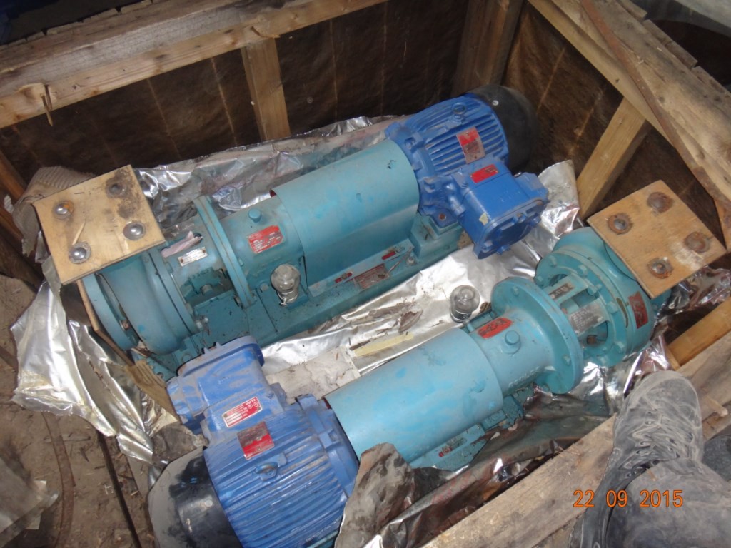 Nasos Tehnologicheskij Goulds Pumps Inc