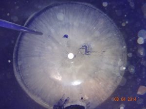 Sbornik Jemalirovannyj Objom 16 Mkub 7