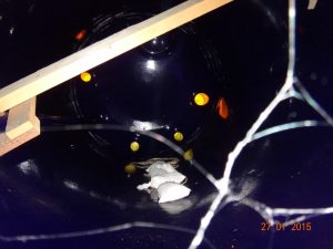 Sbornik Jemalirovannyj Pfaudler Objom 6 880 Litrov 3