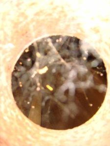 Sbornik S Rubashkoj Objom 250 Litrov 5